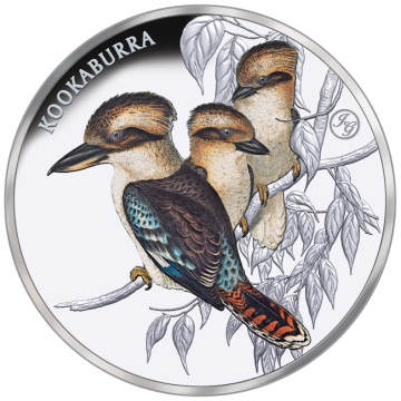 Kookaburra