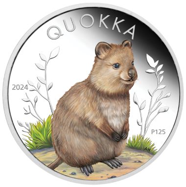 Australian Quokka