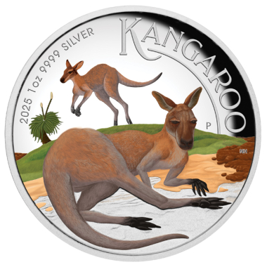 Australian Kangaroo