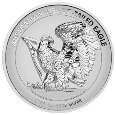 Australian Wedge-Tailed Eagle
