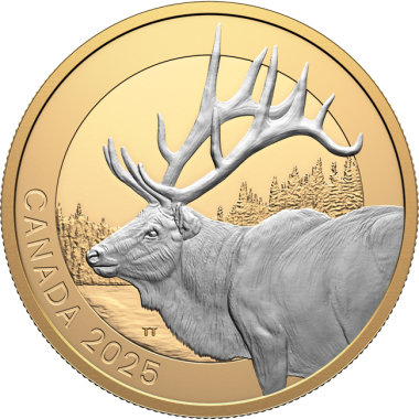 Elk